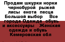 Продам шкурки норки, чернобурой, рыжей лисы, енота, песца. Большой выбор. - Все города Одежда, обувь и аксессуары » Женская одежда и обувь   . Кемеровская обл.